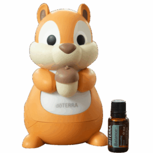 Dyfuzor wiewiórka + Balance 15ml